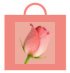 Best shopping!