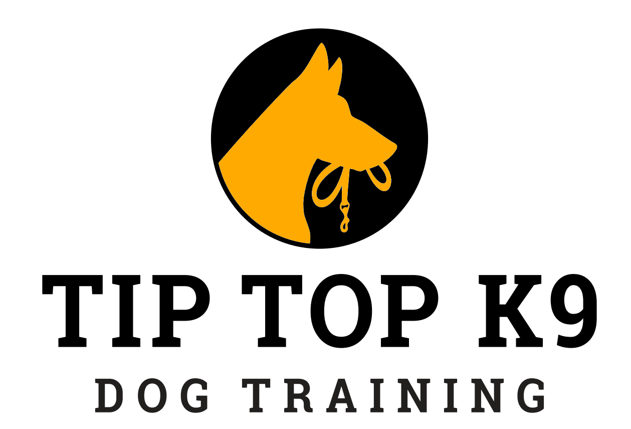 Tip Top K9 Women's Expo With A Cause